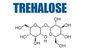 Bubuk Kristal Pemanis Trehalose Dihydrate USP Grade 6138-23-4